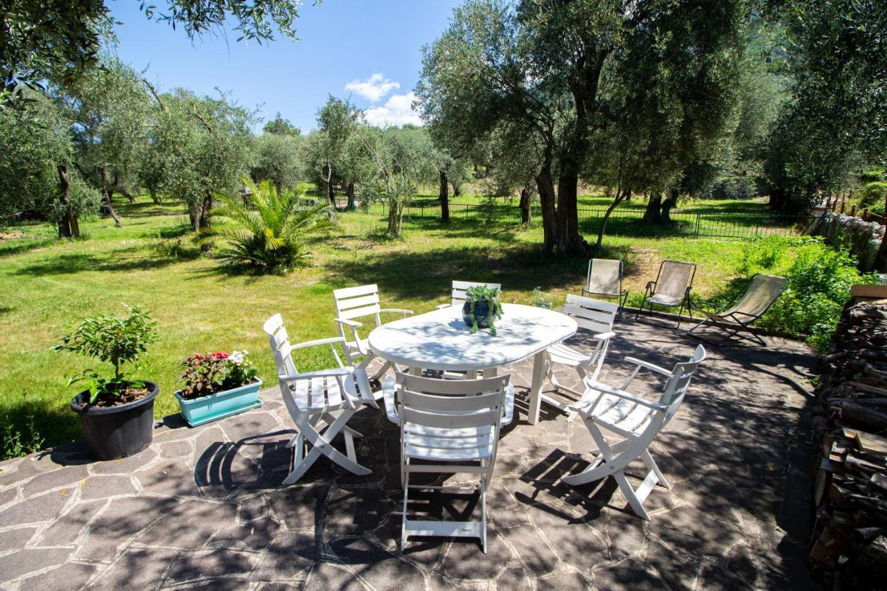 Villa Diana - Terrazza Sul Lago Assenza di Brenzone Eksteriør bilde